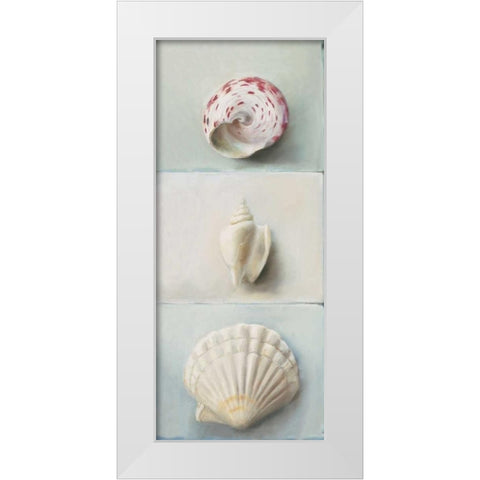 Shell selection IV White Modern Wood Framed Art Print by du Ciel, Milieu