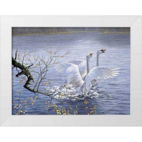 Swans White Modern Wood Framed Art Print by Motz, Peter