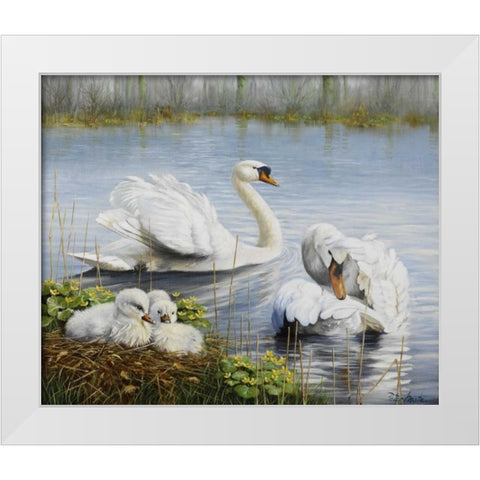 Swans White Modern Wood Framed Art Print by Motz, Peter