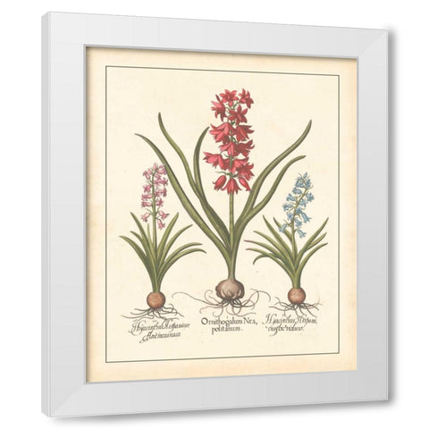DETAILED FLORAL I White Modern Wood Framed Art Print by Artique Studio