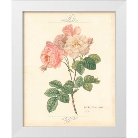 DETAILED FLORAL II White Modern Wood Framed Art Print by Artique Studio