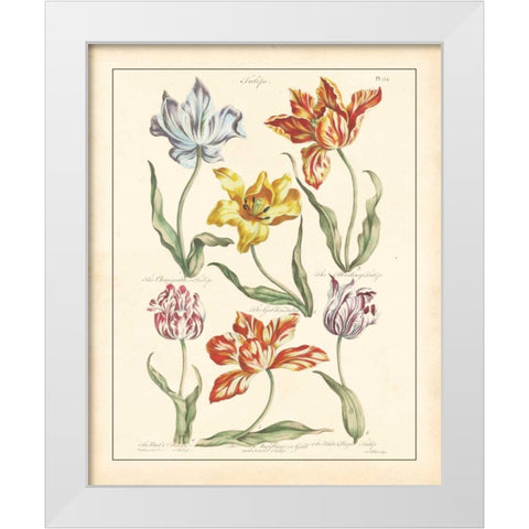 DETAILED FLORAL IV White Modern Wood Framed Art Print by Artique Studio