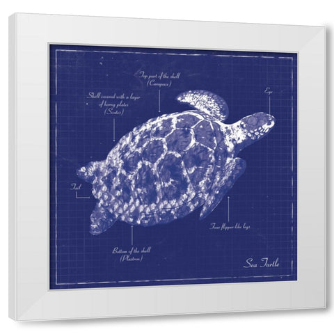 BLUEPRINT SEA TURTLE White Modern Wood Framed Art Print by Ballantyne, Piper