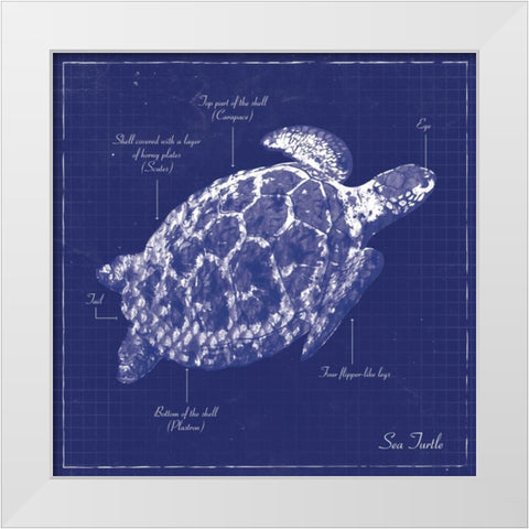 BLUEPRINT SEA TURTLE White Modern Wood Framed Art Print by Ballantyne, Piper