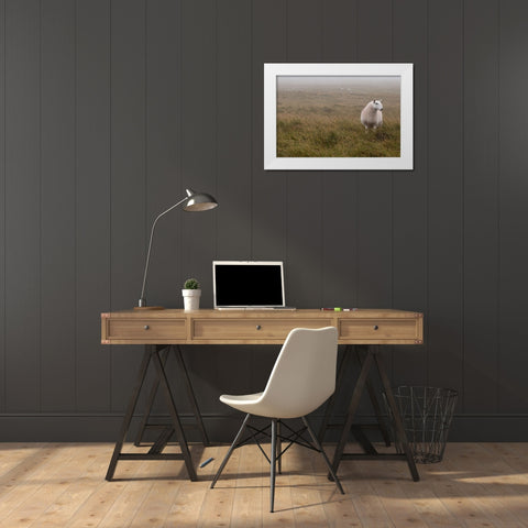 A Sheep standing on grass in mist White Modern Wood Framed Art Print by Frank, Assaf