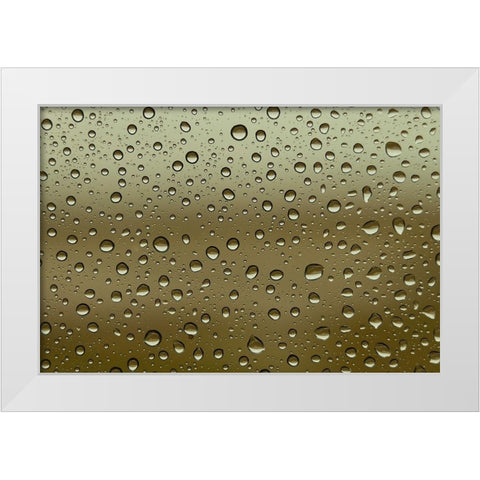 Water droplets on glass White Modern Wood Framed Art Print by Frank, Assaf