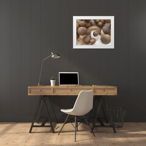 Close-up of mushrooms White Modern Wood Framed Art Print by Frank, Assaf
