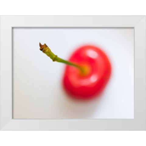 Close-up of cherry, studio shot White Modern Wood Framed Art Print by Frank, Assaf