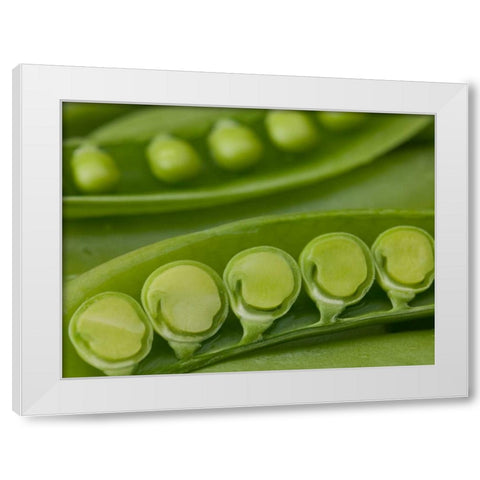 sugar snap peas pods close up White Modern Wood Framed Art Print by Frank, Assaf
