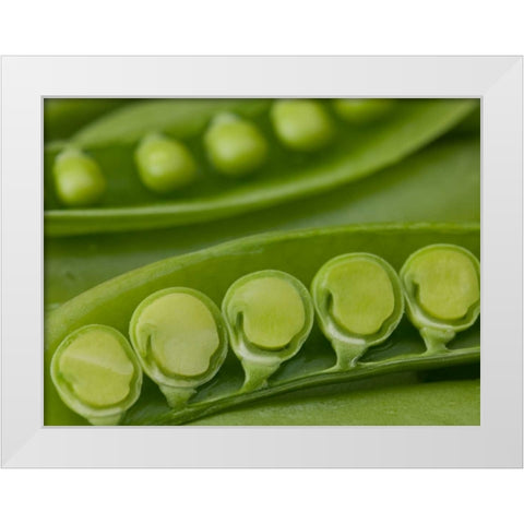 sugar snap peas pods close up White Modern Wood Framed Art Print by Frank, Assaf