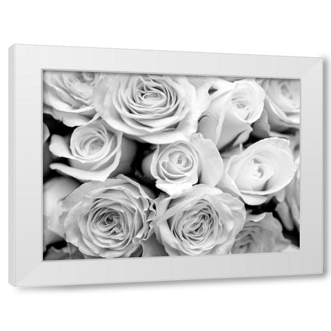 Bunch of roses White Modern Wood Framed Art Print by Frank, Assaf