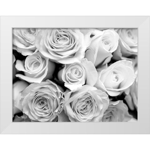 Bunch of roses White Modern Wood Framed Art Print by Frank, Assaf