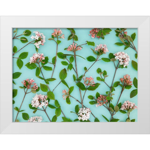 Viburnum Juddii flowers White Modern Wood Framed Art Print by Frank, Assaf