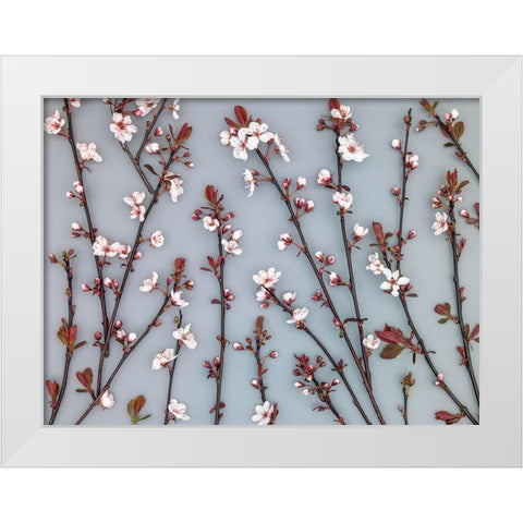Twigs of Cherry plant White Modern Wood Framed Art Print by Frank, Assaf
