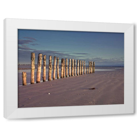 Groynes at ast head beach, West Susex coast White Modern Wood Framed Art Print by Frank, Assaf
