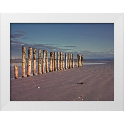 Groynes at ast head beach, West Susex coast White Modern Wood Framed Art Print by Frank, Assaf