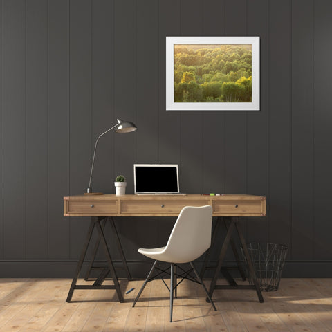 Tree tops at dusk White Modern Wood Framed Art Print by Frank, Assaf