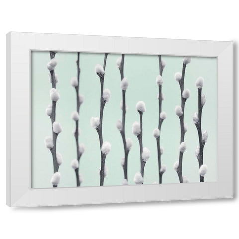 Pussy Willow twigs White Modern Wood Framed Art Print by Frank, Assaf
