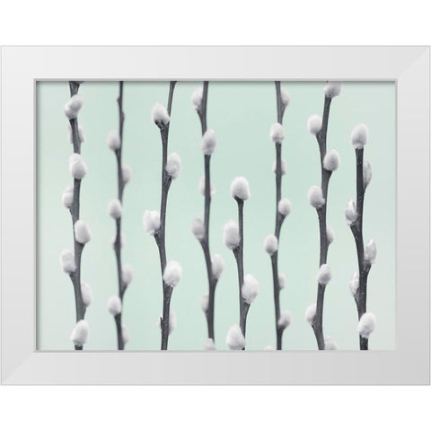 Pussy Willow twigs White Modern Wood Framed Art Print by Frank, Assaf
