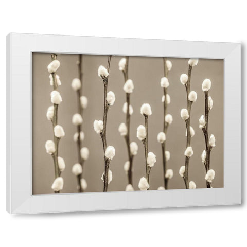 Pussy Willow twigs White Modern Wood Framed Art Print by Frank, Assaf