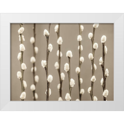 Pussy Willow twigs White Modern Wood Framed Art Print by Frank, Assaf
