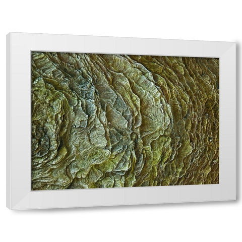 Frosty rock surface White Modern Wood Framed Art Print by Frank, Assaf