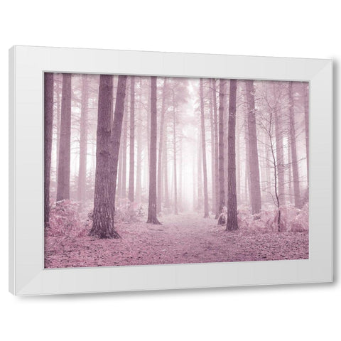 Misty trees in pink White Modern Wood Framed Art Print by Frank, Assaf