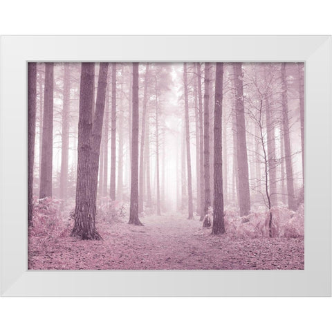 Misty trees in pink White Modern Wood Framed Art Print by Frank, Assaf