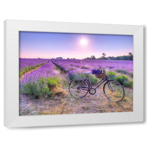 Bicycle with flowers in a Lavender field White Modern Wood Framed Art Print by Frank, Assaf