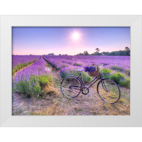 Bicycle with flowers in a Lavender field White Modern Wood Framed Art Print by Frank, Assaf