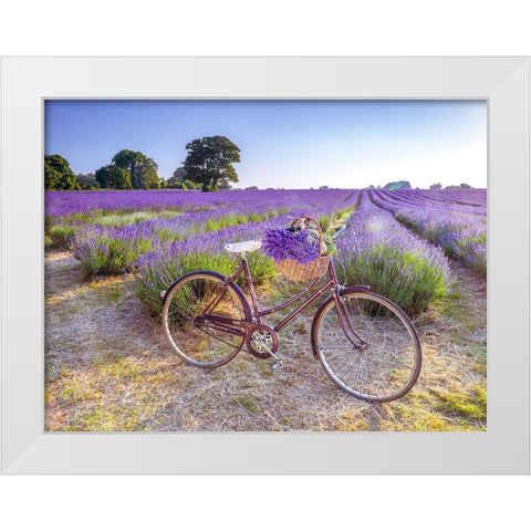 Bicycle with flowers in a Lavender field White Modern Wood Framed Art Print by Frank, Assaf