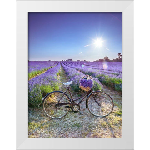Bicycle with flowers in a Lavender field White Modern Wood Framed Art Print by Frank, Assaf