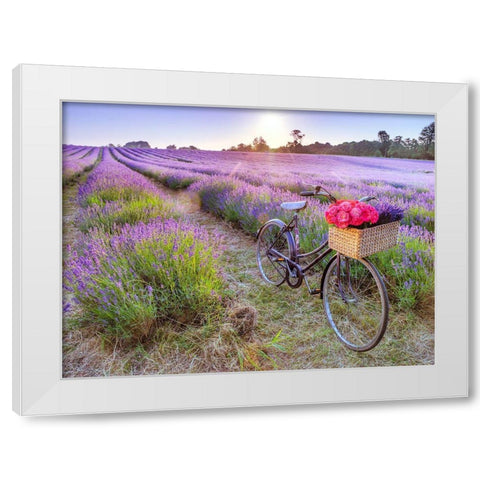 Bicycle with flowers in a Lavender field White Modern Wood Framed Art Print by Frank, Assaf