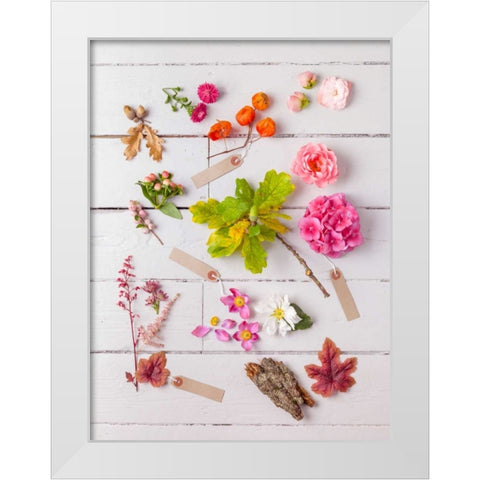 Eclectic plants on wooden background White Modern Wood Framed Art Print by Frank, Assaf