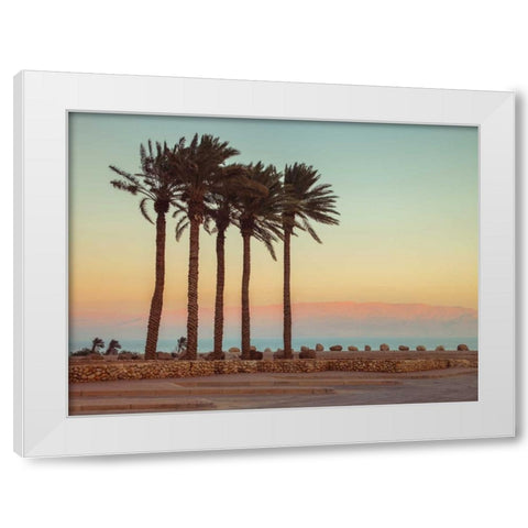 Palm trees on beach of Dead sea, Israel White Modern Wood Framed Art Print by Frank, Assaf