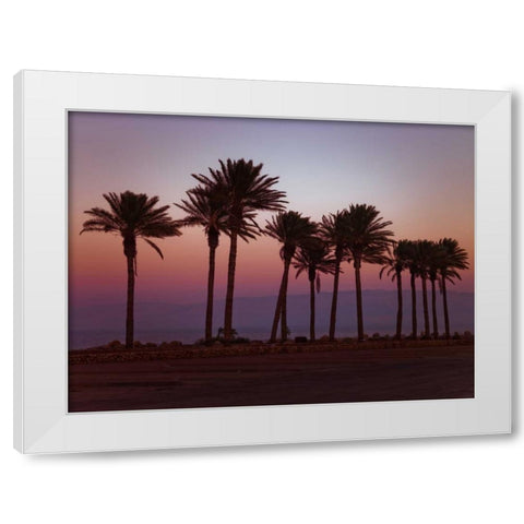 Palm trees on beach of Dead sea, Israel White Modern Wood Framed Art Print by Frank, Assaf