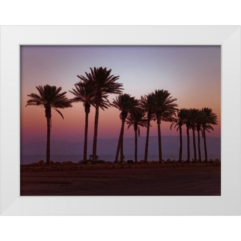 Palm trees on beach of Dead sea, Israel White Modern Wood Framed Art Print by Frank, Assaf