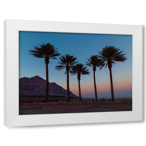 Palm trees on beach of Dead sea, Israel White Modern Wood Framed Art Print by Frank, Assaf