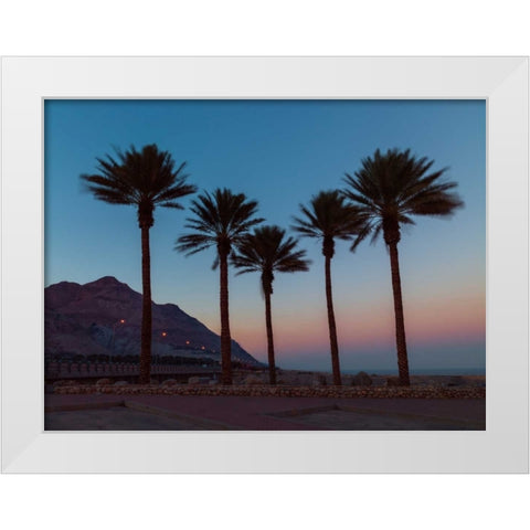 Palm trees on beach of Dead sea, Israel White Modern Wood Framed Art Print by Frank, Assaf