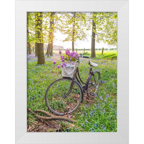 Bicycle in spring forest with bunch of flowers White Modern Wood Framed Art Print by Frank, Assaf