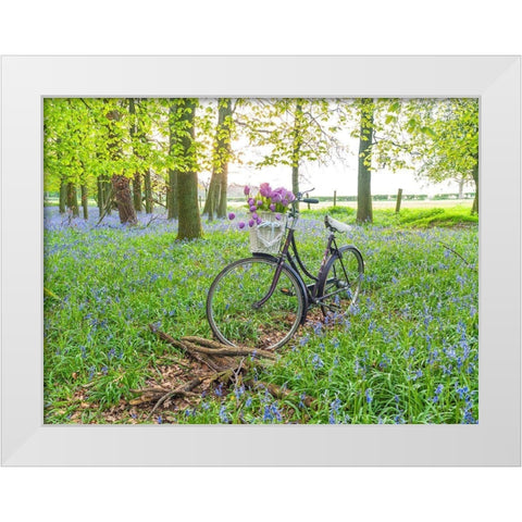 Bicycle in spring forest with bunch of flowers White Modern Wood Framed Art Print by Frank, Assaf