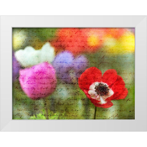 Colorful Anemone flowers in garden White Modern Wood Framed Art Print by Frank, Assaf