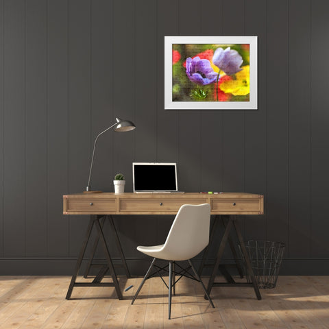 Beautiful Yellow colored Anemone flowers in garden White Modern Wood Framed Art Print by Frank, Assaf