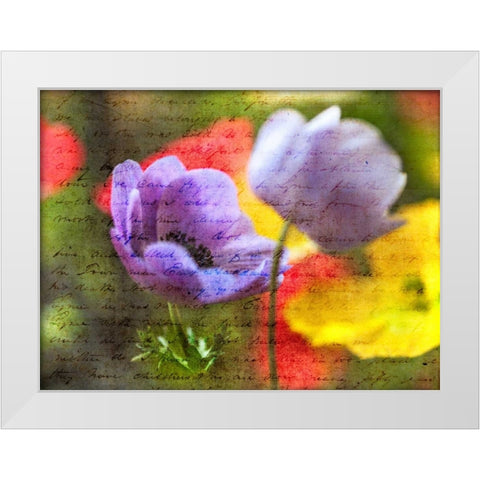 Beautiful Yellow colored Anemone flowers in garden White Modern Wood Framed Art Print by Frank, Assaf