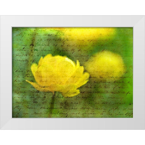 Beautiful Poppy flower in garden White Modern Wood Framed Art Print by Frank, Assaf