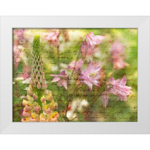 Colorful Aquilegia flowers on plants in garden White Modern Wood Framed Art Print by Frank, Assaf