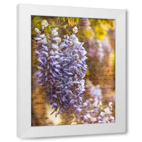 Beautiful Allium flowers White Modern Wood Framed Art Print by Frank, Assaf
