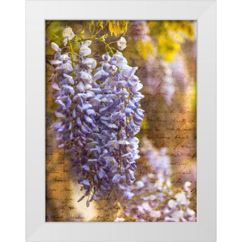 Beautiful Allium flowers White Modern Wood Framed Art Print by Frank, Assaf