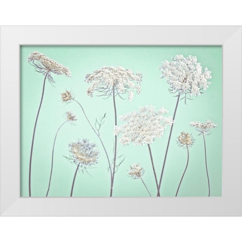 Cow parsley flowers White Modern Wood Framed Art Print by Frank, Assaf