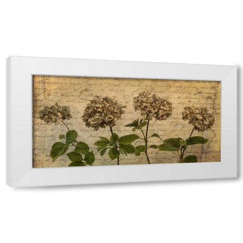 Four dried Hydrangea flowers in a row White Modern Wood Framed Art Print by Frank, Assaf
